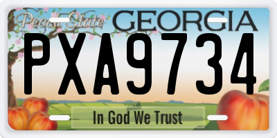 GA license plate PXA9734