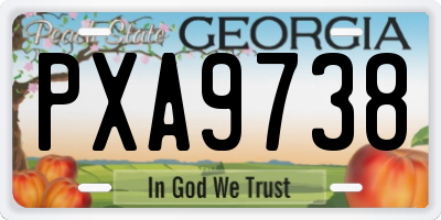 GA license plate PXA9738