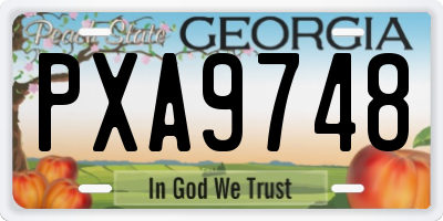 GA license plate PXA9748