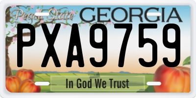 GA license plate PXA9759