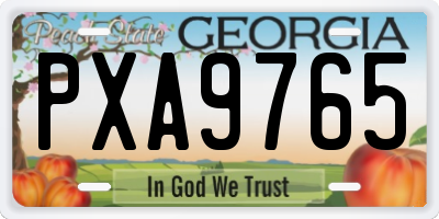 GA license plate PXA9765