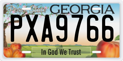 GA license plate PXA9766