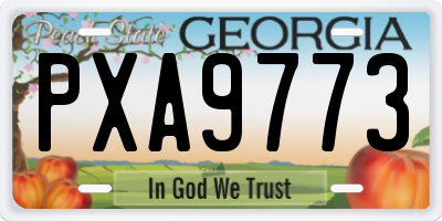GA license plate PXA9773