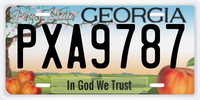 GA license plate PXA9787