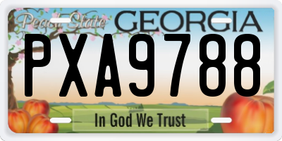 GA license plate PXA9788