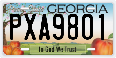 GA license plate PXA9801