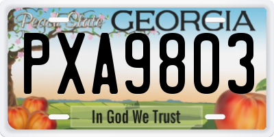 GA license plate PXA9803