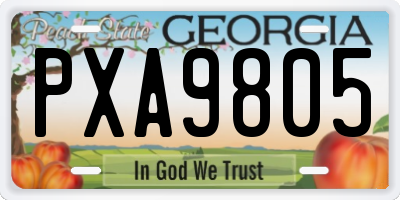 GA license plate PXA9805