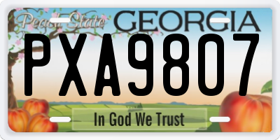GA license plate PXA9807
