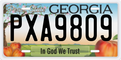 GA license plate PXA9809