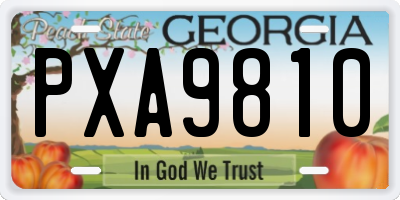 GA license plate PXA9810