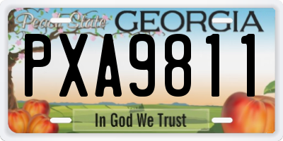 GA license plate PXA9811