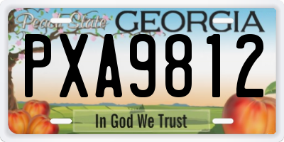 GA license plate PXA9812