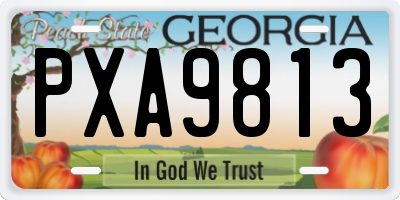 GA license plate PXA9813