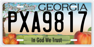 GA license plate PXA9817