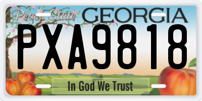 GA license plate PXA9818