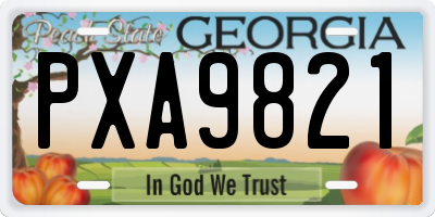 GA license plate PXA9821