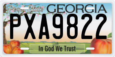GA license plate PXA9822