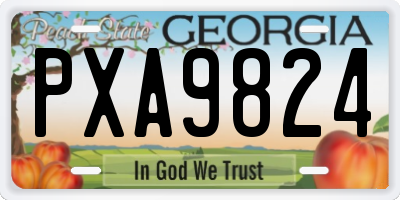 GA license plate PXA9824