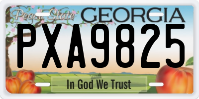 GA license plate PXA9825