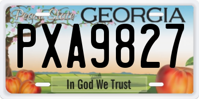 GA license plate PXA9827