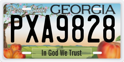 GA license plate PXA9828