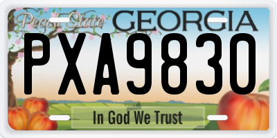 GA license plate PXA9830