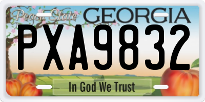 GA license plate PXA9832