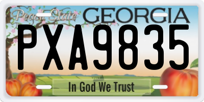 GA license plate PXA9835
