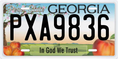 GA license plate PXA9836