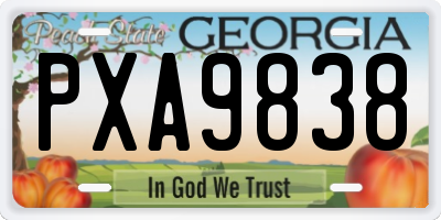 GA license plate PXA9838