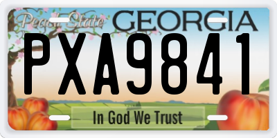GA license plate PXA9841