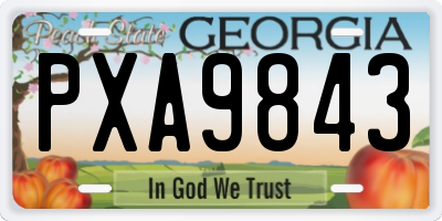 GA license plate PXA9843