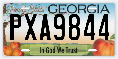 GA license plate PXA9844