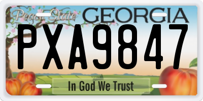 GA license plate PXA9847