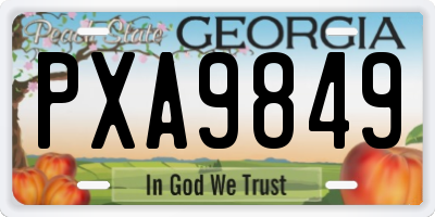 GA license plate PXA9849