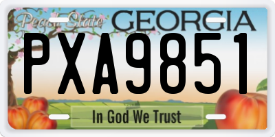 GA license plate PXA9851