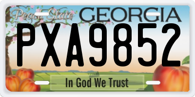 GA license plate PXA9852