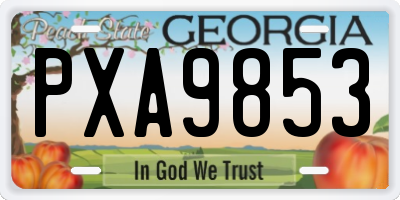 GA license plate PXA9853