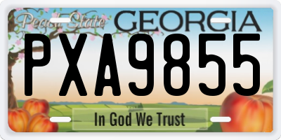 GA license plate PXA9855