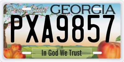 GA license plate PXA9857