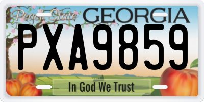GA license plate PXA9859