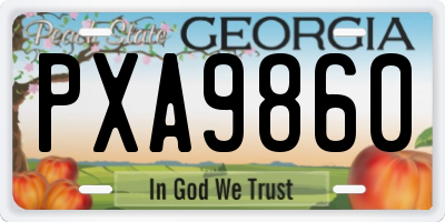 GA license plate PXA9860