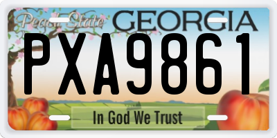 GA license plate PXA9861