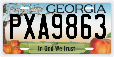 GA license plate PXA9863