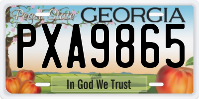 GA license plate PXA9865