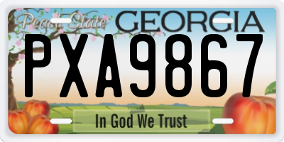 GA license plate PXA9867