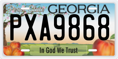 GA license plate PXA9868