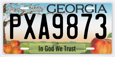 GA license plate PXA9873