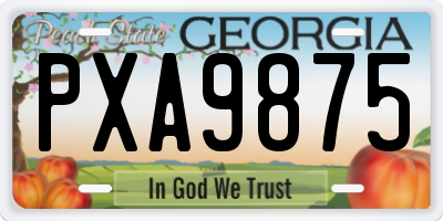 GA license plate PXA9875